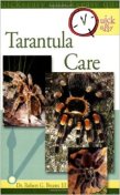 Quick and Easy Tarantula care