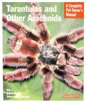 tarantulas-and-other-arachnids