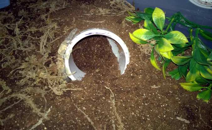 3" diameter white PVC elbow hide.