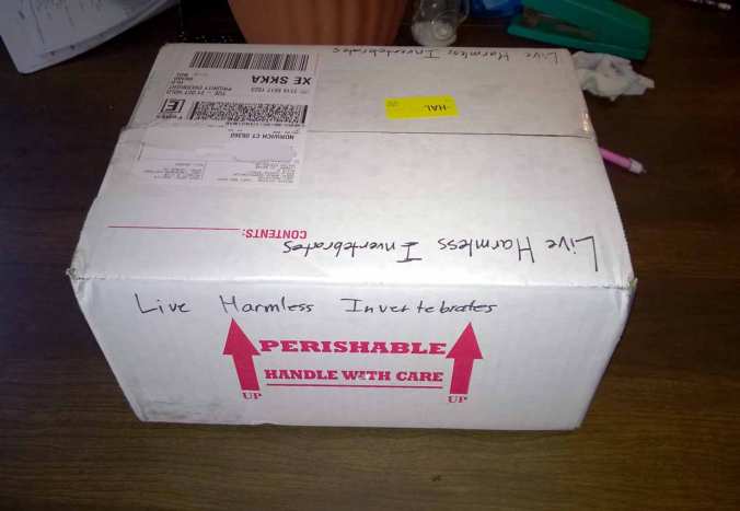 My package for GBS. LOVE the labeling!
