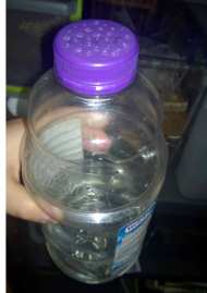 An old juice bottle modified with some holes to be a watering bottle.