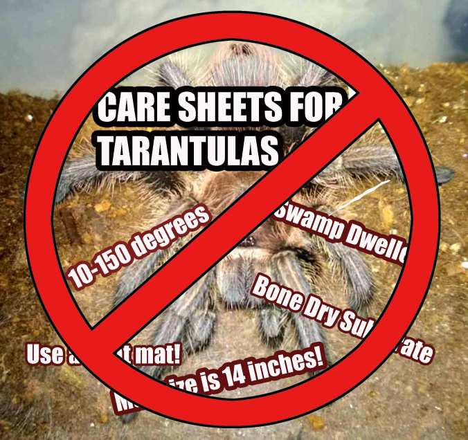 No-care-sheets