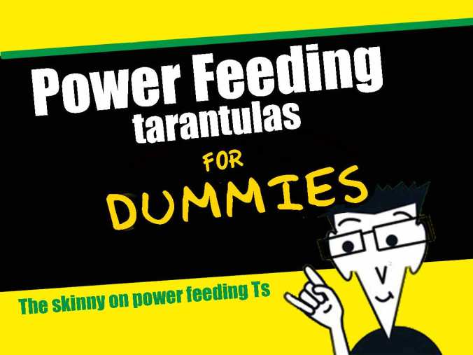Powerfeeding-for-dummies